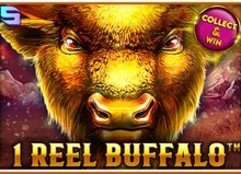 1 Reel Buffalo